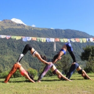 grass is great alternative to yoga mat